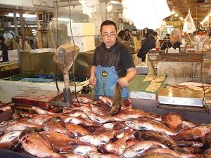 Tsukiji Fish Market, Tokyo