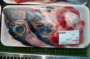 Japanese Tuna Eyeball