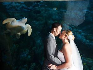 Aquarium Wedding