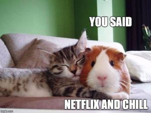 Netflix and Chill