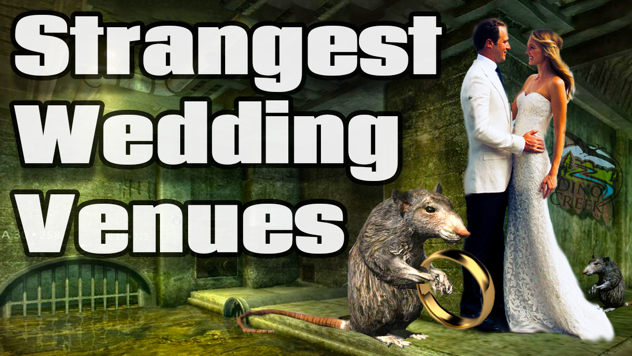 10 Strangest Places People Get Married Strange Wedding Venues
