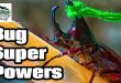 Bug Super Powers 2