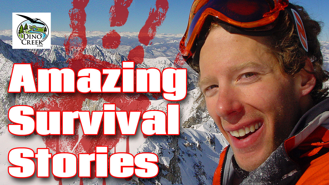 5 Most Amazing Survival Stories | DinoCreek.com | Amazing Videos