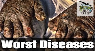 Worst Diseases