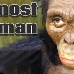 Archaic Humans | Pre-Human Ancestors