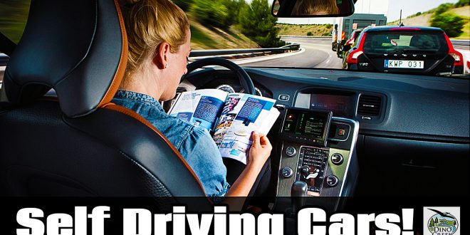 How Self Driving Cars Will Change the World | DinoCreek.com | Amazing ...